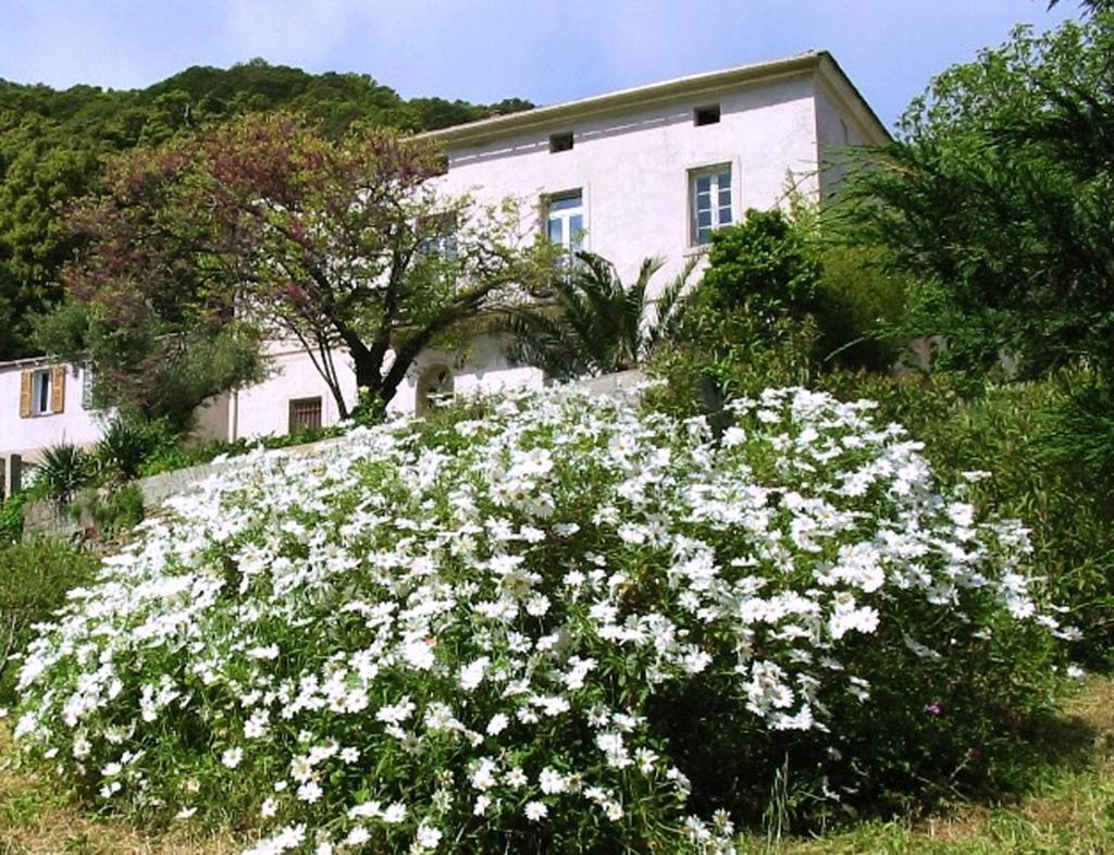 Casa A Rota Chambres D'Hotes Ersa ภายนอก รูปภาพ